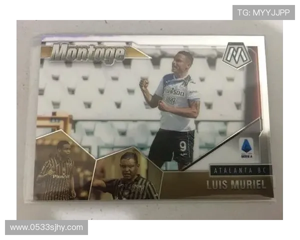 帕尼尼足球球星卡的市场价值分析与投资前景探讨